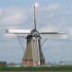 Een molen in een veld met koolzaad